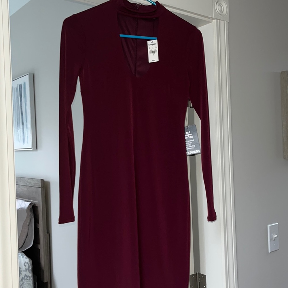 NWT Express Dress